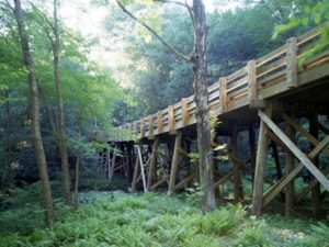 bridgebuilders timber1