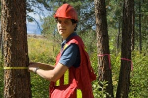 arborist 