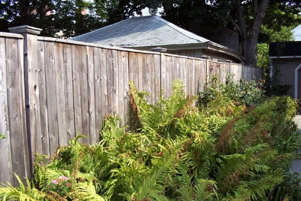 katahdin cedar fence