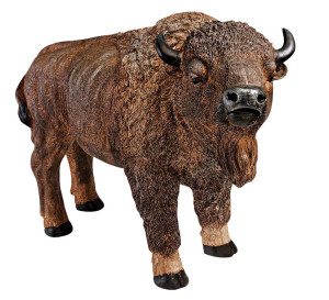 buffalo