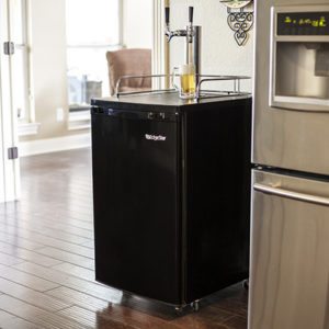 twin kegerator