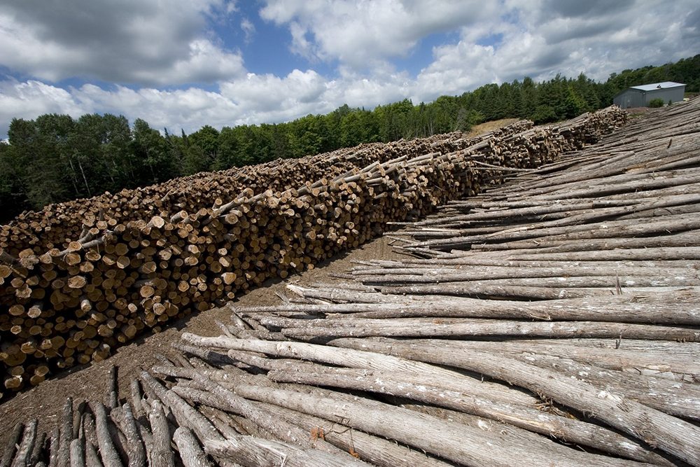 Cedar Logs and Log Home Kit Cost Myths and Advantages