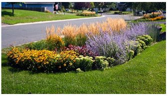 rain garden landscaping