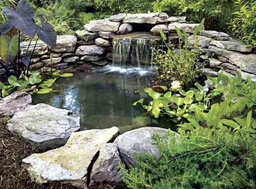 rock pond waterfall