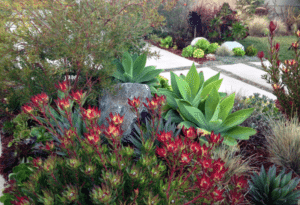 hot landscaping trends